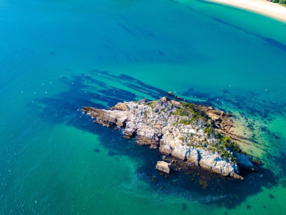 Villa i Palmela, Setubal - foto 5